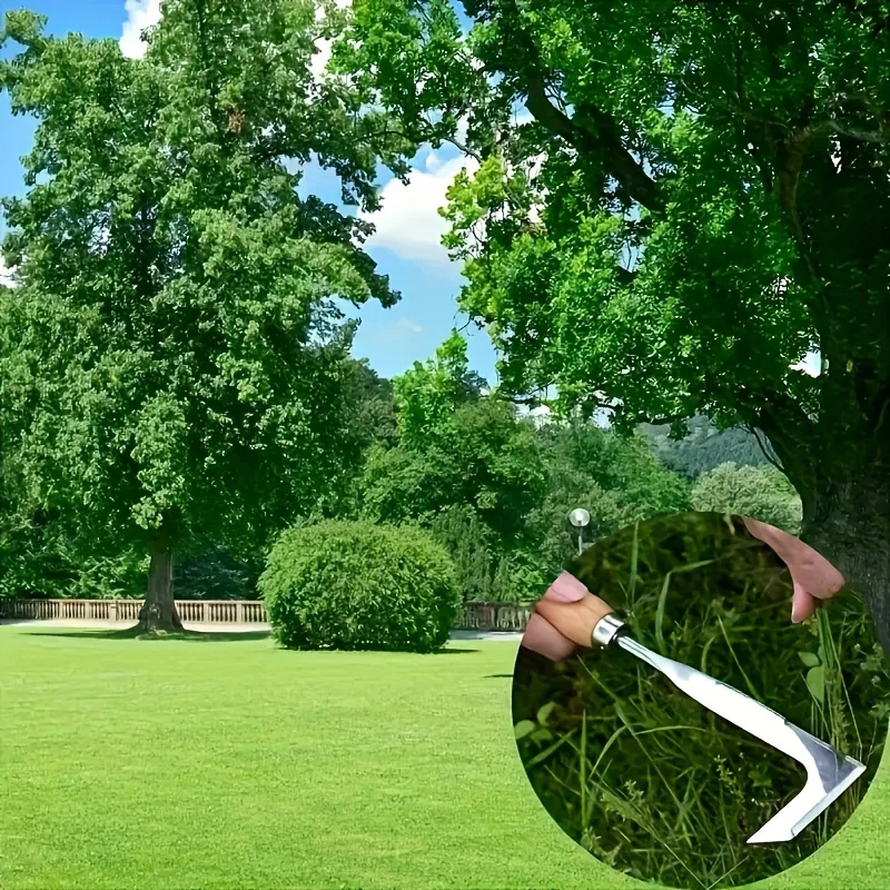 Heavy-Duty Weeding Tool Heavy-Duty 1pc Metal Crack Weeding Tool with Ergonomic Wooden Handle | Manual Grass Cutter for Roadside, Sidewalks & Driveways - Efficient Weed Removal in Tight Spaces, Weeder Trimmers